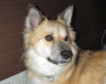 ���݂����Ȃ��̂Ƀ`�F�[���𔃂��Ă��ꂽ