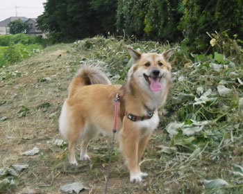 �W�����O������������