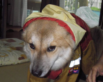 ���Ԃ���ȂĂ΁E�E�E