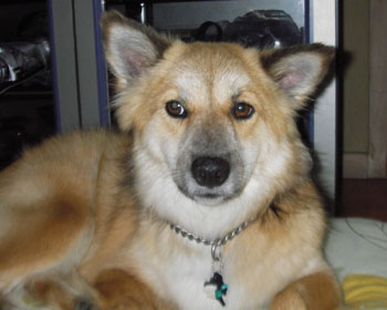 ���q�D�������Ă��ꂽ�B�q�����Ⴀ��܂���