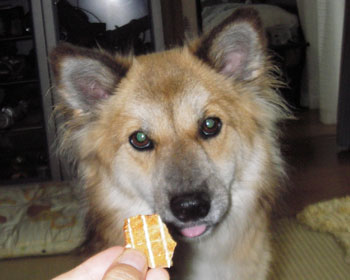 ���A�o�J�ʂ����Ă��܂���