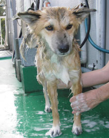 ���ꂽ�E�E�E