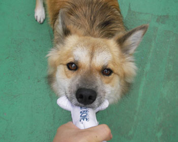 ���������ā`