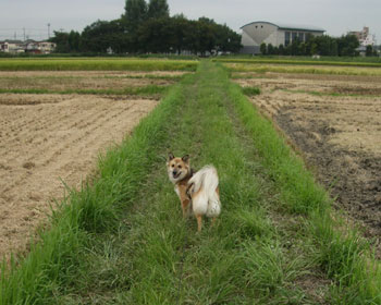 ��������I��肻������