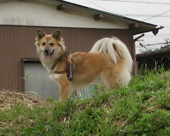 �����l�R�������񂾂�