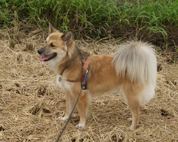 �����������ς����Ƃ��ꂵ��