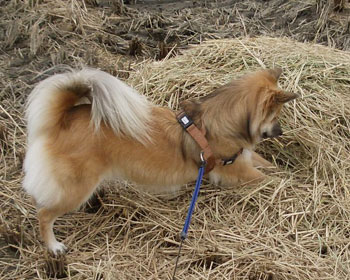 �J�G������