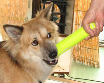 �����Ǝ����ĂĂ�