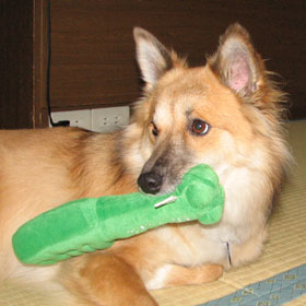 ������Ǝ����ɂ���