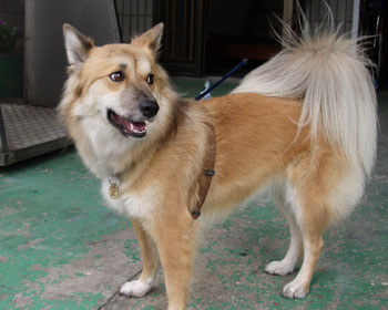 �y�����U�����I�����