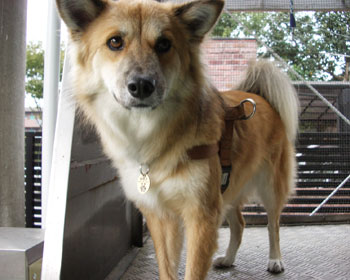 ���t�g�ŋA��