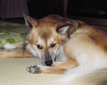 �ŋ߂܂������������䂢