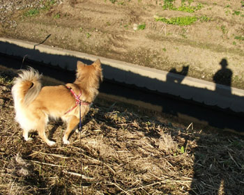 �m��Ȃ���������I