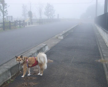 �Z������