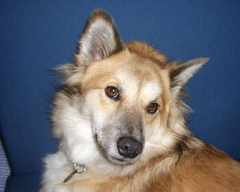 ���났��