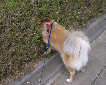 �l�R��������