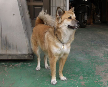 �U���̂��Ƃ͊��S�[��