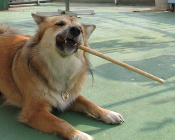 �������̂��E����