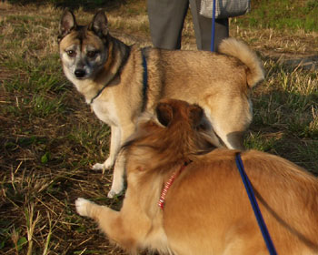 ���ɂ���A���͂悤�������܂�