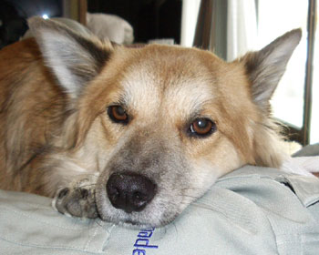 �������͌����E�E�E