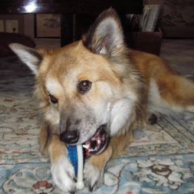 �����������Ɩڂ��C���Ă��܂�