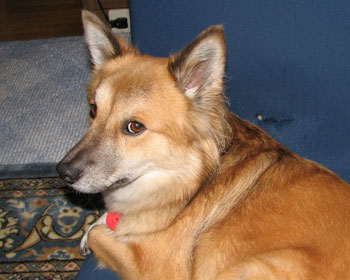 �߂ł����J�������ƋL�O�B�e