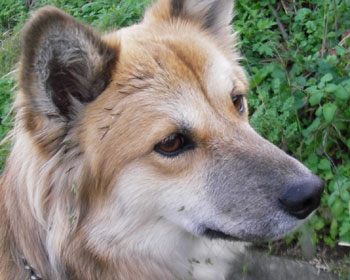 �璆�^�l��