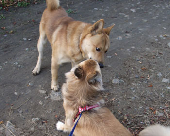 �E����K�Ƃ炵�����F�B