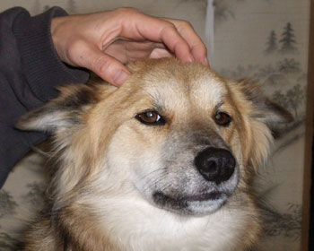 �������傱����ł����Ƃ�B���̂����ڂ����