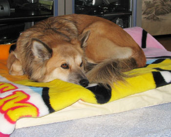 �L���x�b�h�𔃂��Ă����������