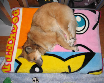 �ł��|�P�����̖ѕz�͂������Ȃ��̂�