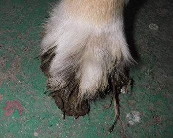 �Ȃ񂩎w���J���񂾂��