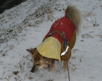 �~��n�߂͂����������ƂȂ�����