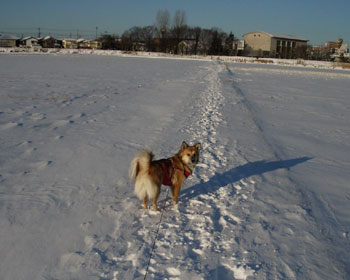 �ق�A�Ђ�т�`