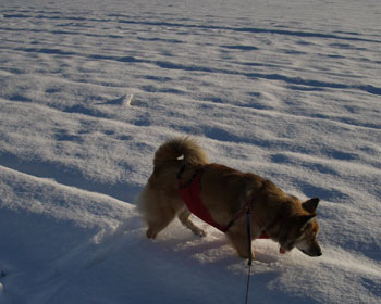 �y��������