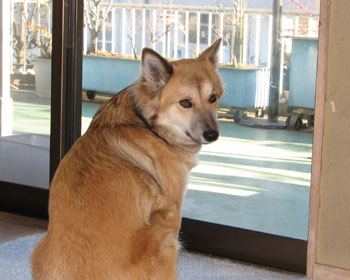 �i���Ȃ�����o����