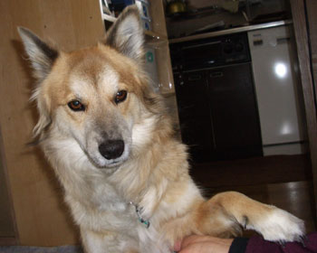 �C�̐i�܂Ȃ�����