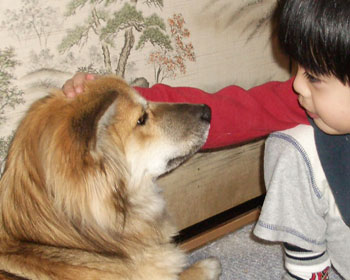 �d���Ȃ��Ȃł��Ă��