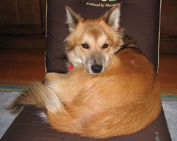 �M���b�Ɗۂ܂�