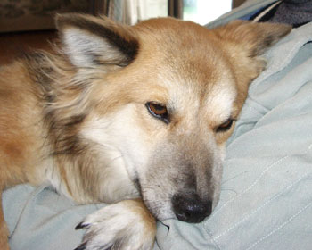 �܂����������E�E�E