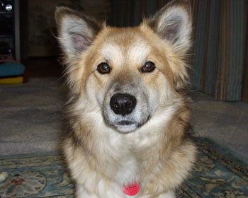 ������Ƃ��˂����