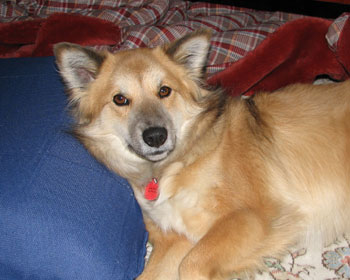 ���ɂ͂�����������