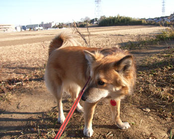 �Ȃɂ��̋C�z���@����