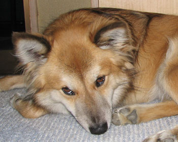 ���O����������������