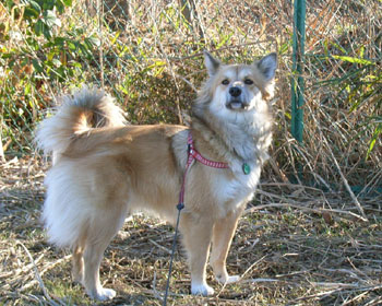 �܂��J�����������́H