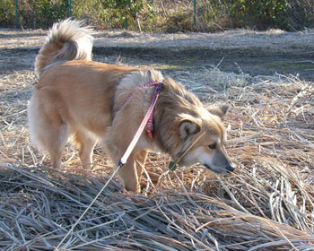 �j�I�C���m�F���āE�E�E