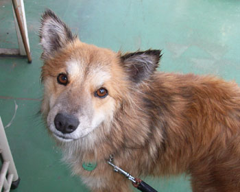 ��u�����������������ɐ��ꂽ