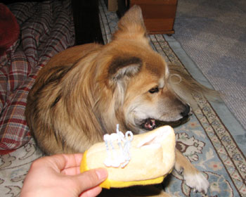 �C��������