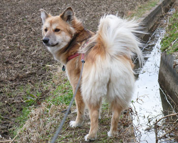 �K������ꂽ