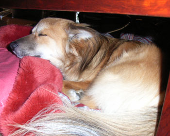 �������̓e�[�u���̉��Ɍ���